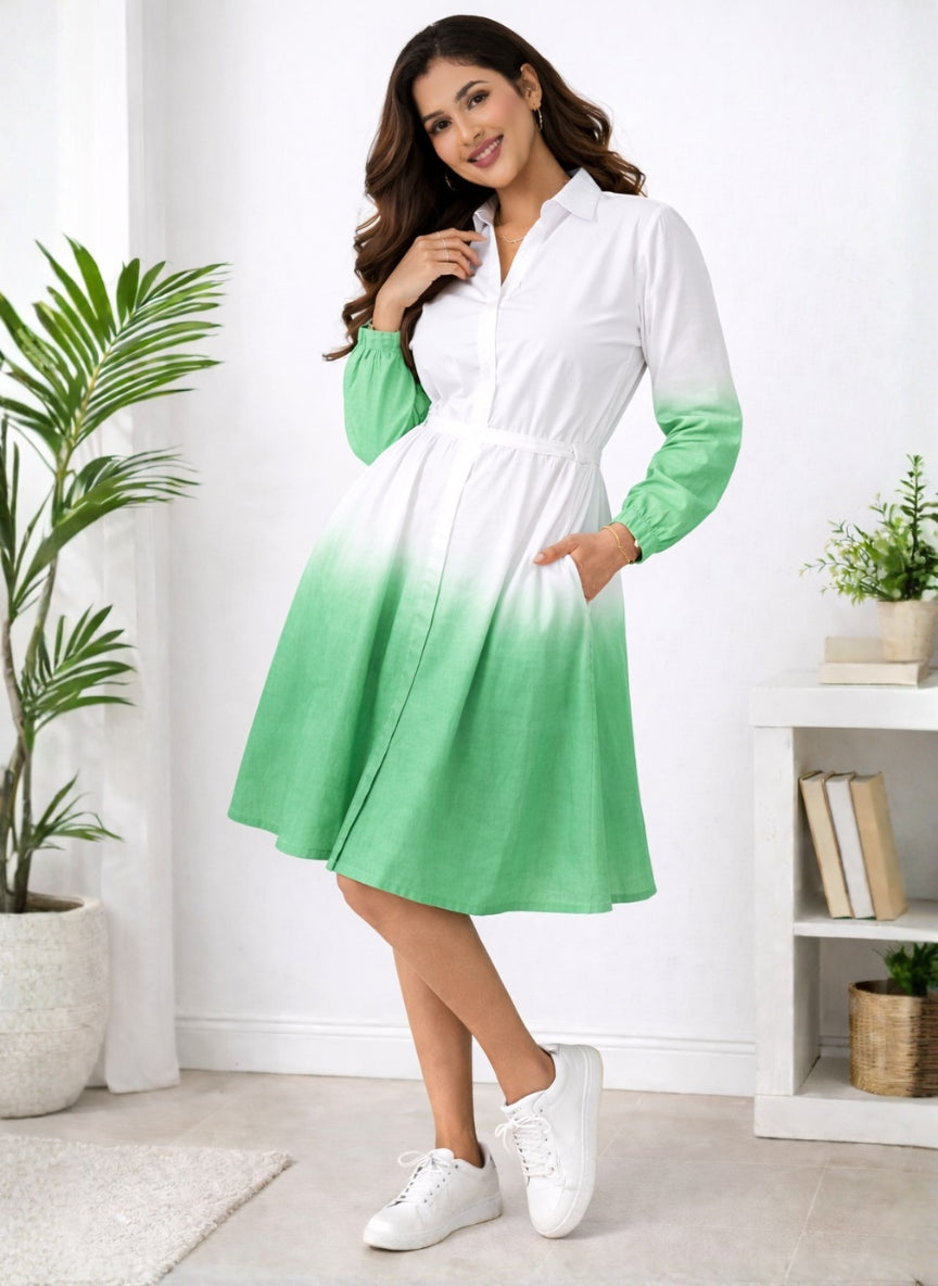 Shaded Belt Shirt Dress